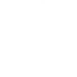 Experiência dos Fundadores