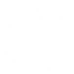 Qualificação Técnica